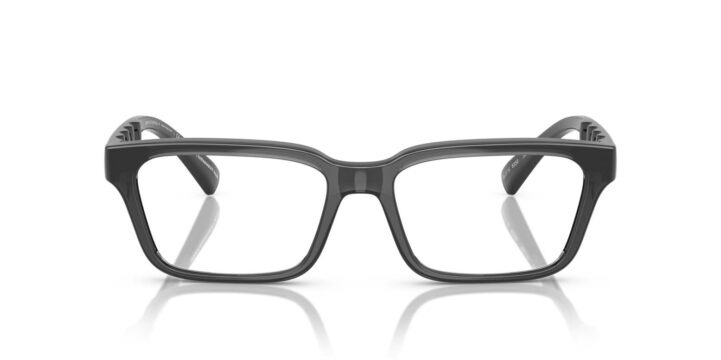 Armani Exchange AX3116U C8356